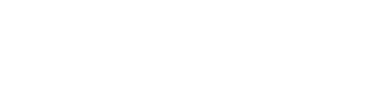 Estudios Internacionales