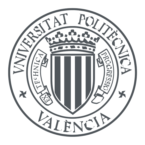 Universitat Politècnica de València (UPV)